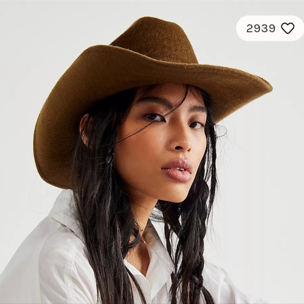 Peter Grimm brown western wool felt hat